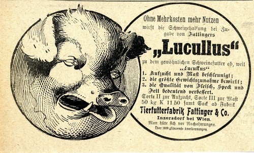 Tierfutterfabrik fattinger - fattinger, &