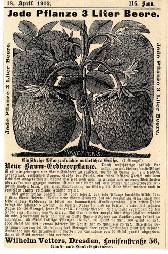 Kunstgärtnerei vetters - kunstgärtnerei, w.vetters